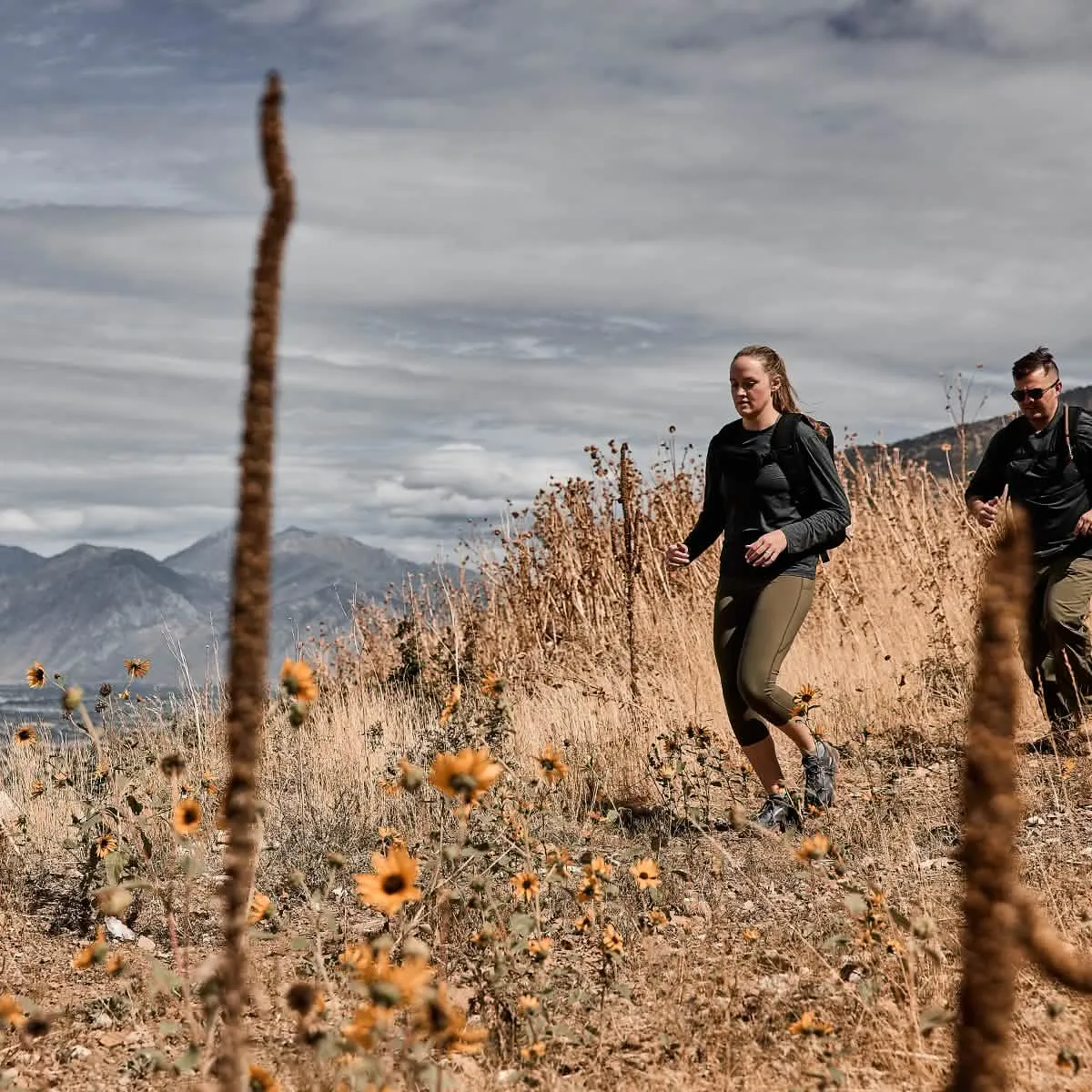 Merino Challenge Socks - Ankle