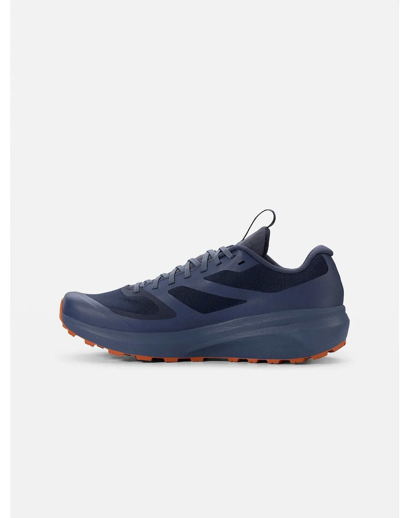 Norvan LD 3 GTX Shoe (Unisex) - Past Season